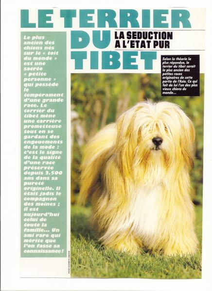 histoire d'une passion